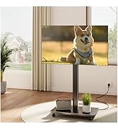 Amazon.co.jp: BESSTER テレビスタンドキャスター付き 壁寄せ ハイ